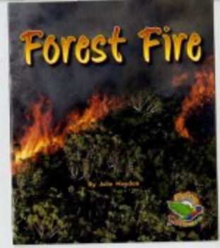 Paperback Forest Fire Book