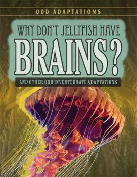 Library Binding Why Don't Jellyfish Have Brains?: And Other Odd Invertebrate Adaptations Book