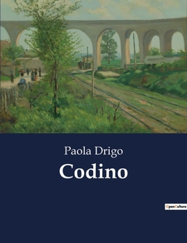 Paperback Codino [Italian] Book