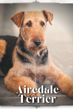 Airedale Terrier: Dog breed overview and guide