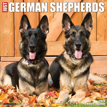 Calendar Just German Shepherds 2024 12 X 12 Wall Calendar Book
