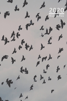 Paperback A5 2020 Diary Week To View Paperback Cover With Alternative Design -: - Raven Diary Cover, Year Planner For Business, Office, Home, University, Colleg Book