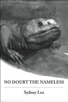 Paperback No Doubt the Nameless Book