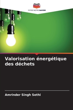 Paperback Valorisation énergétique des déchets [French] Book