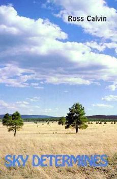 Paperback Sky Determines: An Interpretation of the Southwest Book