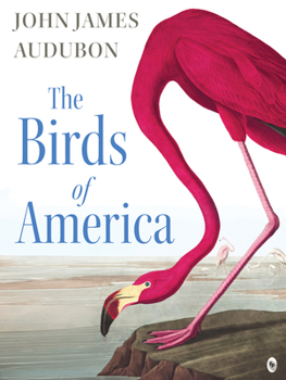 The Birds of America