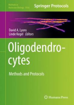 Oligodendrocytes: Methods and Protocols - Book #1936 of the Methods in Molecular Biology