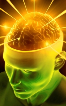 Hardcover emergence of integrity Book