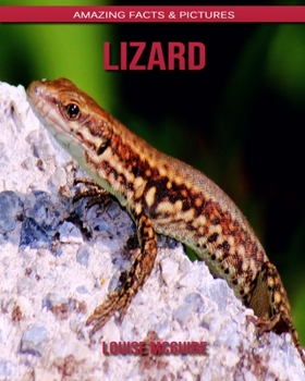 Lizard: Amazing Facts & Pictures