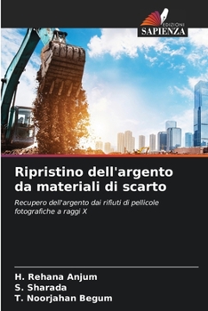 Paperback Ripristino dell'argento da materiali di scarto [Italian] Book