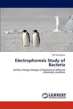 Paperback Electrophoresis Study of Bacteria Book