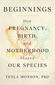 Beginnings: How Pregnancy, Birth, and Motherhood Shaped Our Species