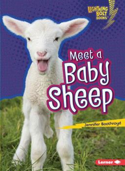 Paperback Meet a Baby Sheep Book