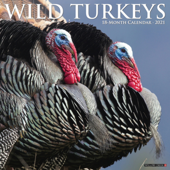 Calendar Wild Turkeys 2021 Wall Calendar Book
