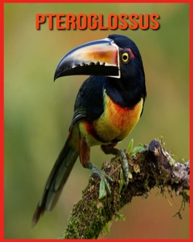 Paperback Pteroglossus: Informations Tr?s Amusantes et Photos Etonnantes [French] Book