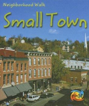 Library Binding Small Town Book