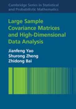 Hardcover Large Sample Covariance Matrices and High-Dimensional Data Analysis Book