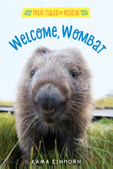 Hardcover Welcome, Wombat Book