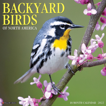 Calendar Backyard Birds 2022 Wall Calendar Book