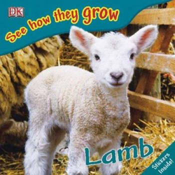 Paperback See How They Grow: Lamb [With Stickers] Book