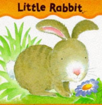 Board book Little Rabbit (Baby Animal Board Books) Book