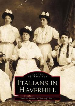 Paperback Italians in Haverhill Book