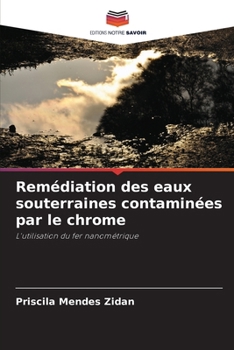 Paperback Remédiation des eaux souterraines contaminées par le chrome [French] Book