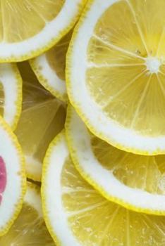 Paperback Lemon Citrus: Notebook Book