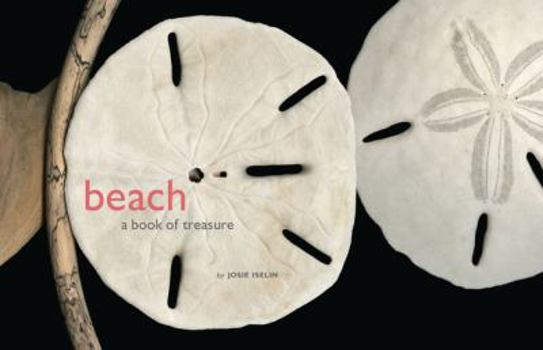 Hardcover Beach: A Book of Treasures Book