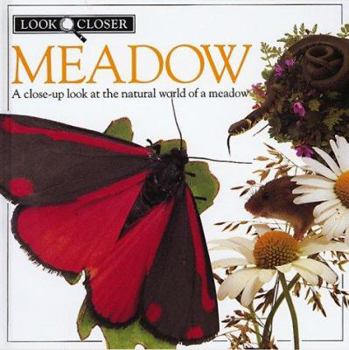 Meadow (Look Closer) - Book  of the Look Closer