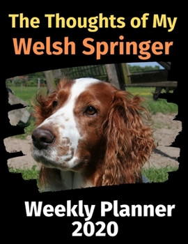 Paperback The Thoughts of My Welsh Springer: Weekly Planner 2020 Book