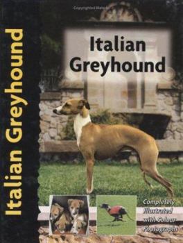 Hardcover Italian Greyhound Book