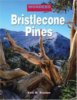 Library Binding Bristlecone Pines Book
