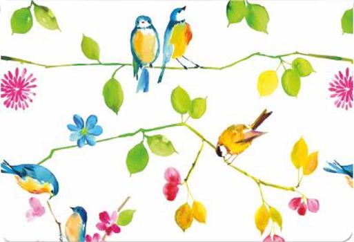 Loose Leaf Watercolor Birds Note Cards [With 15 Envelopes] Book