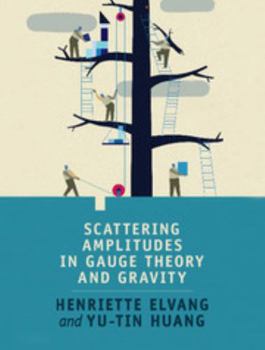 Hardcover Scattering Amplitudes in Gauge Theory and Gravity Book