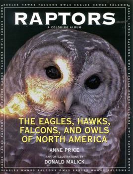 Paperback Raptors: The Eagles, Hawks, Falcons, and Owls of North America Book