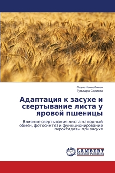 Paperback ????????? ? ?????? ? ??????????? ????? ? ?????? ???????: ??????? ??????????? ????? ?? ?????? ?????, ?????????? ? ???????????????? ??????????? ??? ?????? (Russian Edition) [Russian] Book