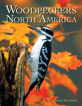 Paperback Woodpeckers of North America Book