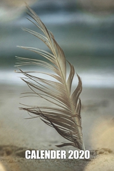 Sea love Baltic Sea North Seagull Feather Calendar 2020: Gift, weekly planner, appointment calendar, annual planner, pocket calendar, handy calendar book 6x9 inches format on 108 pages