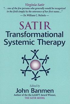 Paperback Satir Transformational Systemic Therapy Book