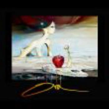 Hardcover The Surreal World of Ora Tamir Book