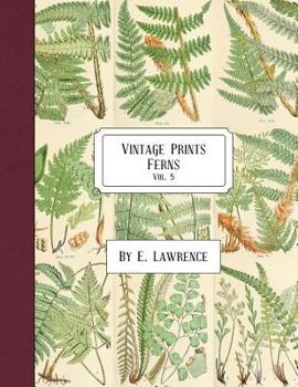 Paperback Vintage Prints: Ferns: Vol. 5 Book