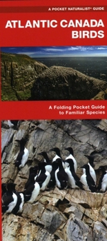 Misc. Atlantic Canada Birds: A Folding Pocket Guide to Familiar Species Book