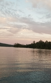 Hardcover Cloudy Bay Journal (Natural Wonders) Book