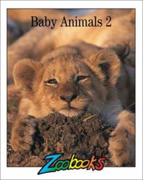Hardcover Baby Animals Book