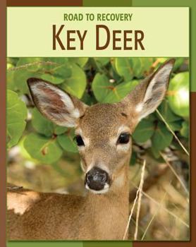 Key Deer - Book  of the Road to Recovery