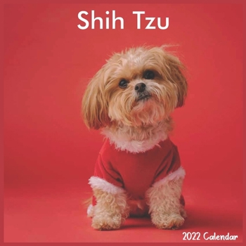 Paperback Shih Tzu Calendar 2022: Official Shih Tzu Dog breed Calendar 2022 16 Months Book