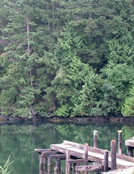 Anthony Adverse: VOLUME THREE. THE LONELY TWIN