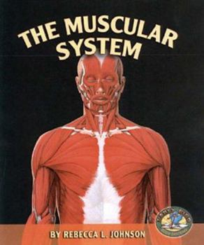 Paperback The Muscular System Book