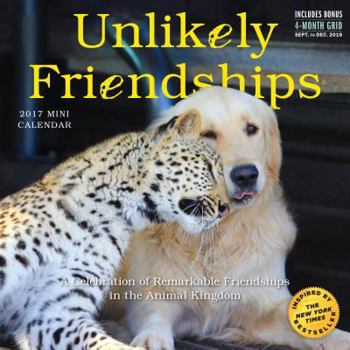 Calendar Unlikely Friendships Mini Wall Calendar 2017 Book
